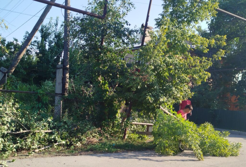 Вдохновляющие примеры садовых композиций Алатауского района